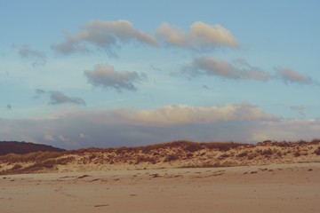 dunas de una playa salvaje y solitaria una tarde de otoño