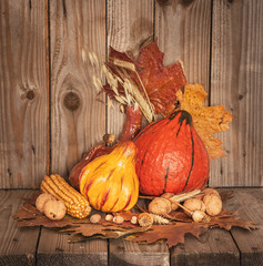 Thanksgiving Day decoration with colorful pumpkins, walnuts and corncob. Rustic decoration.