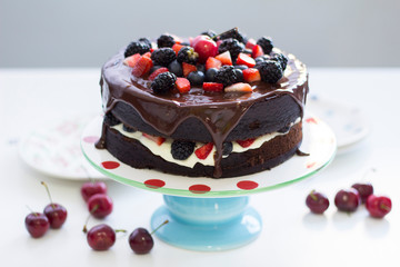 Bolo de chocolate com frutas vermelhas 