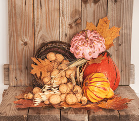 Thanksgiving Day decoration with colorful pumpkins  and basket of walnuts. Rustic decoration.