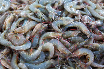 Many fresh raw shrimps close up, heap of prawns on seafood market, tropical marine crustaceans,...
