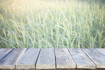 Old wooden path way with green rice field background