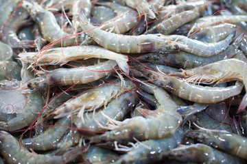 Many fresh raw shrimps close up, heap of prawns on seafood market, tropical marine crustaceans, gourmet healthy food, sea or ocean animal, shrimp pattern, prawn texture