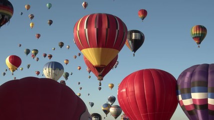 Albuquerque Balloon Fiesta 2019 - Hot Air Balloons