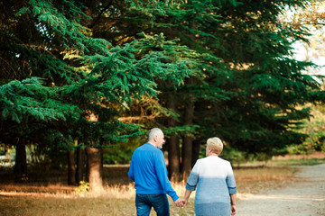 Fototapeta premium Pensioners walk in the park. Happy old age.