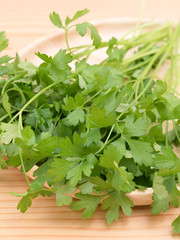 イタリアンパセリ