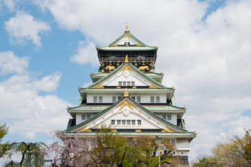 Cherry blossoms at Osaka castle in Japan