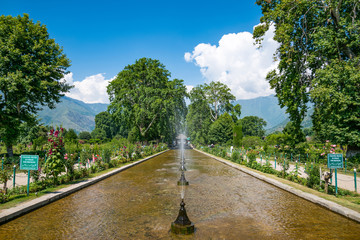 Fototapeta na wymiar The fountains, pavillions and gardens of Shalimar Bagh Moghul gardens on the banks of Dal Lake.