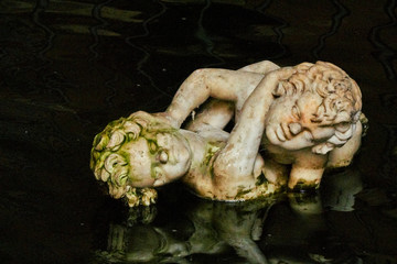 Fototapete bei efototapeten.de bestellen   