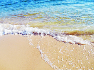 Sand and sea; the clear calm waters of the Gulf of Mexico wash the Florida beach.