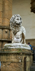 Medici Lion Black/White