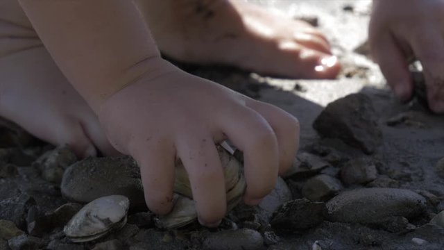 Child picks up Seafood from the sand