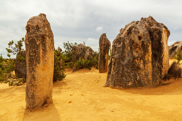 Limestone pinnacles at the Nambung National Park in Western Australia, Australia.