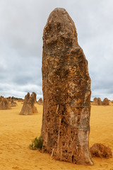 Limestone pinnacles at the Nambung National Park in Western Australia, Australia.
