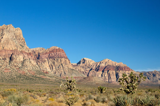 Rugged mountains and Joshua Trees in Nevada's Mojave Desert