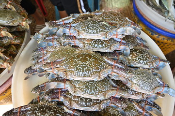 Blue crabs tied the claws with rubber stick are put on the white plastic basket in the local market. They are fresh from the sea. The colour of their carapaces is blue.