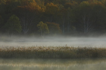 紅葉の御在所沼