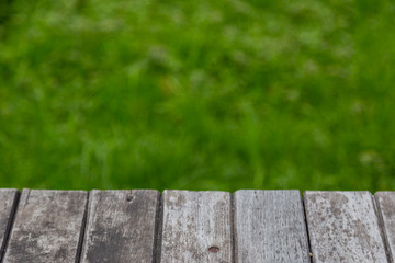 old wood with green nature