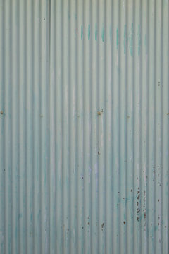 Old green zinc fence metal wall