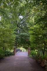 Fototapeta premium Frederiksberg Gardens in Copenhagen, Denmark. September 24th, 2018