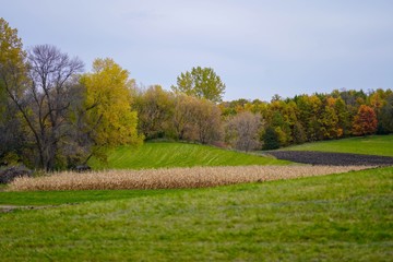 Farming land in Minnesota in Autumn