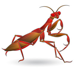 Illustration in stained glass style with red mantis, insect isolated on white background