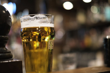 Cold beer in a bar in Tokyo,Japan