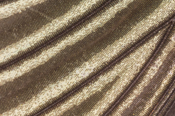 Plakat Close up of Butterfly wing pattern