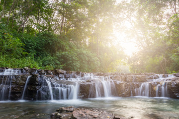 Green forest waterfall nature