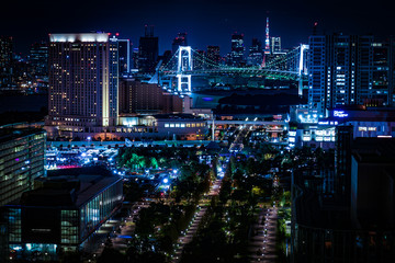 Fototapeta na wymiar 東京・お台場から見える東京の夜景