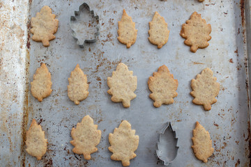autumn leaves and home made autumn cookies