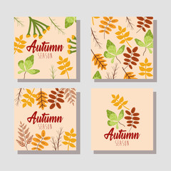 Fototapeta na wymiar hello autumn season bundle of cards