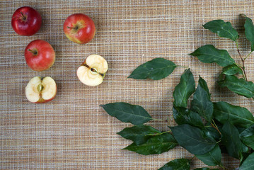 apples and leaves of apple flatlay