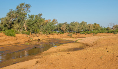 Fototapeta na wymiar Low water levels in the Luvuvhu river in the Kruger National Park in South Africa in the pre-rainy season period image in horizontal format with copy space