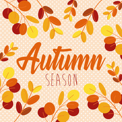 hello autumn season leafs and calligraphy