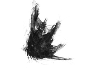 Fototapeta premium Abstract ink splatter. Beautiful black brush