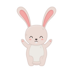 funny cute rabbit little animal cartoon
