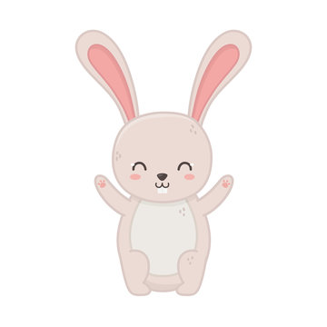 funny cute rabbit little animal cartoon