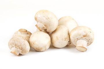 Champignons mushrooms on white background