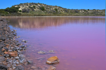 Fototapeta na wymiar Hutt Lagoon Pink lake at Port Gregory in Western Australia