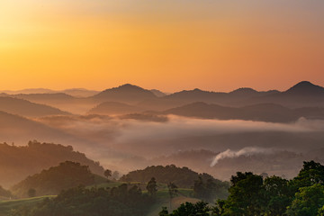 Morning mist covered on hill after sunrise at tropical forest. Thailand