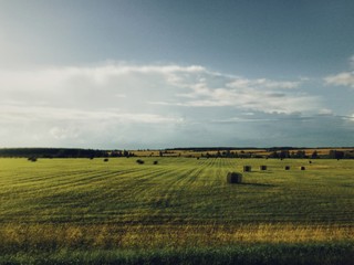 Rain clouds over the field. Autumn landscape. Russia