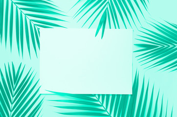 Fototapeta na wymiar Tropical palm leaves on mint color background with paper card note. Minimal summer concept. Trendy green and turquoise color. Creative layout. Top view, flat lay.