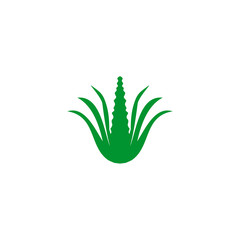 Aloe vera plant logo icon design vector template
