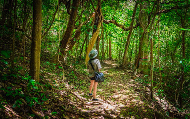 Naklejka na ściany i meble Outdoor activity lifestyle traveler woman walking in deep tropical jungle rain forest, Adventure nature tourist travel Thailand summer holiday vacation trip, Tourism beautiful destination place Asia