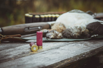 Obraz premium Two rounds in the foreground. A dead duck, a double-barreled shotgun in the background. Autumn duck hunting.