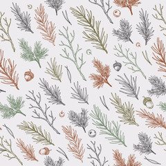 Winter forest branches and leaves seamless pattern. Botanical vintage illustration. Vector illustration