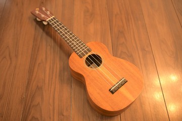 Obraz premium ウクレレ