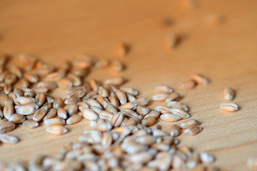 Wheat grains scattered on a wooden surface close-up. Toned background