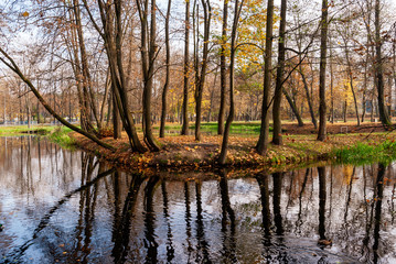 Fototapeta na wymiar Jesień w Parku Lubomirskich, Białystok, Podlasie, Polska